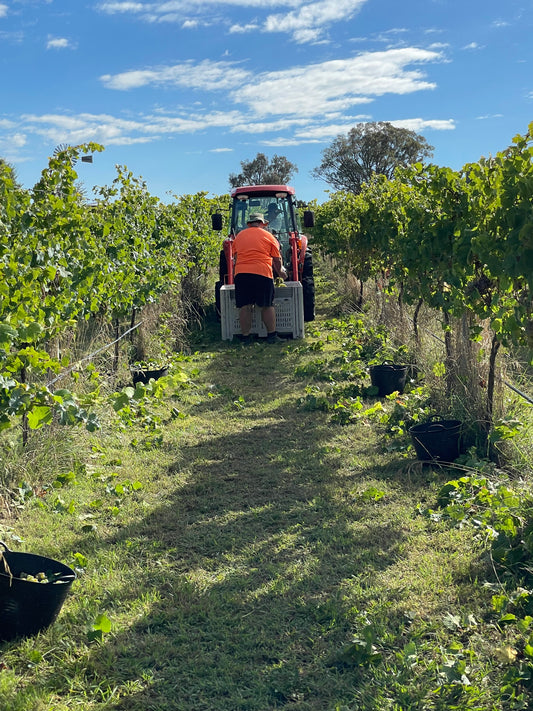 CANBERRA WINE TOURS