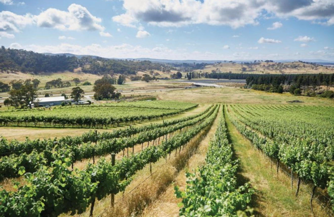 Explore the Canberra region - full day experience