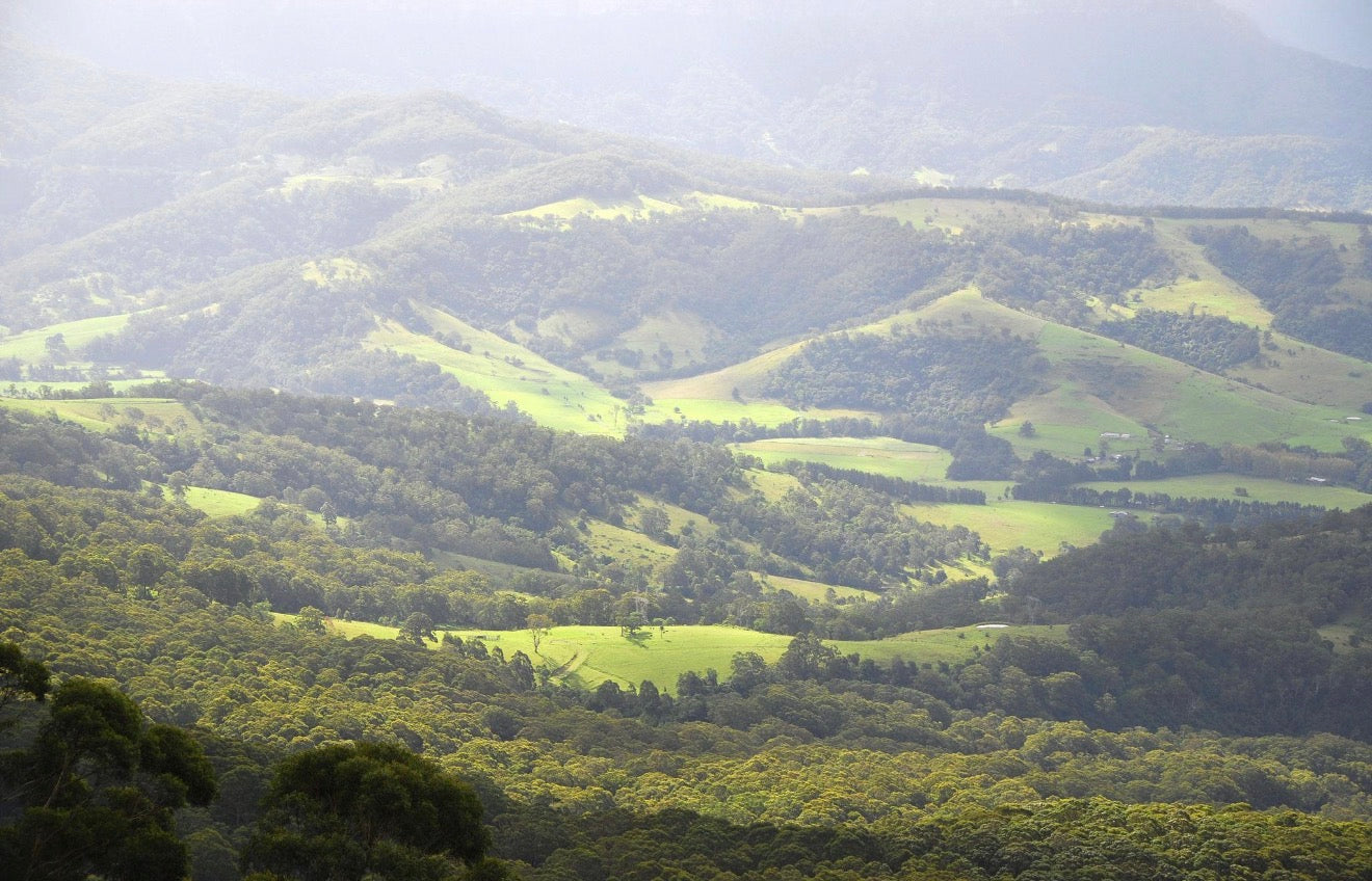 Explore the Canberra region - full day experience