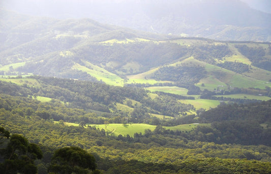 Explore the Canberra region - full day experience